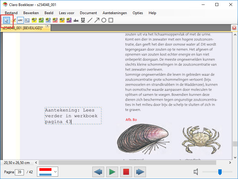 klik-op-cursor.jpg